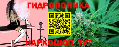 прущие грибы Северобайкальск