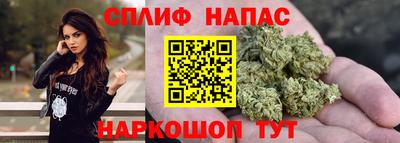 прущие грибы Северобайкальск