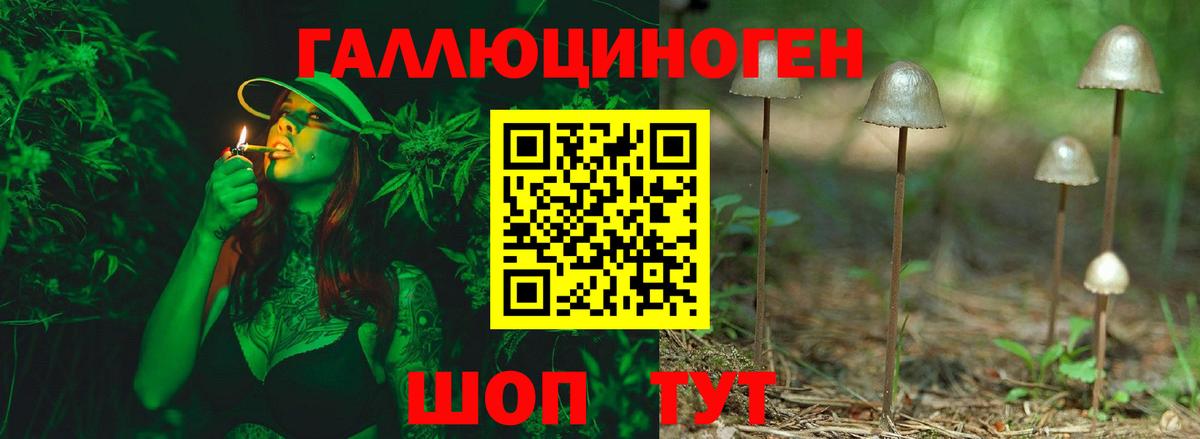 Галлюциногенные грибы Psilocybine cubensis Белово